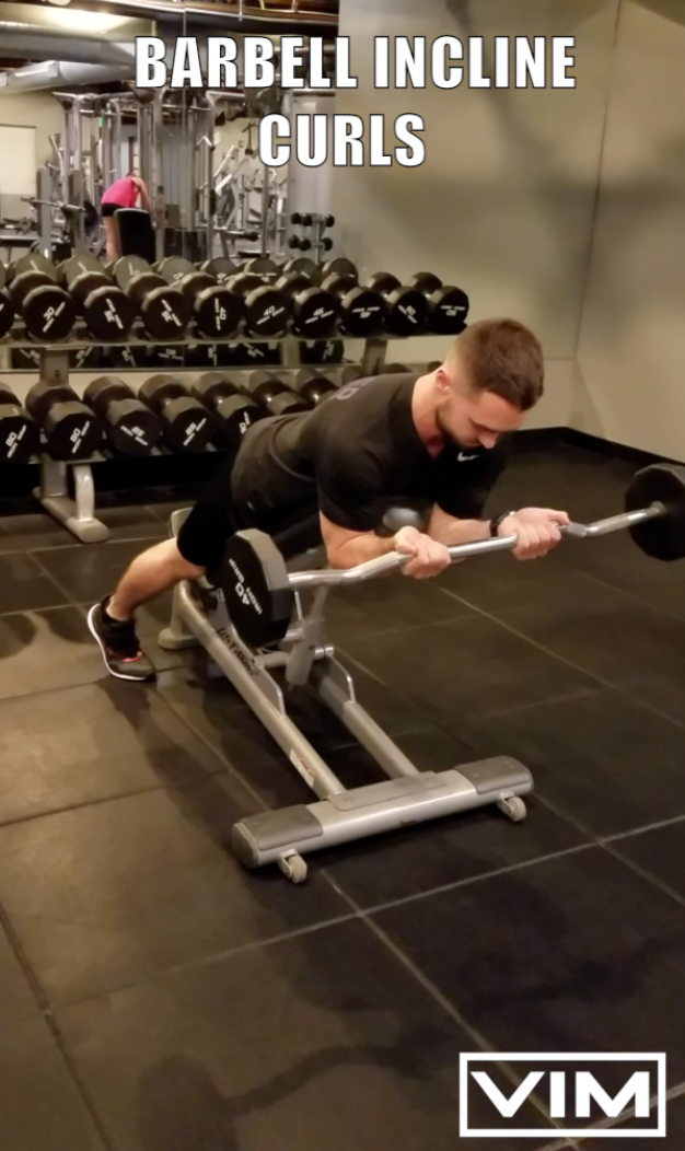 BARBELL INCLINE CURLS