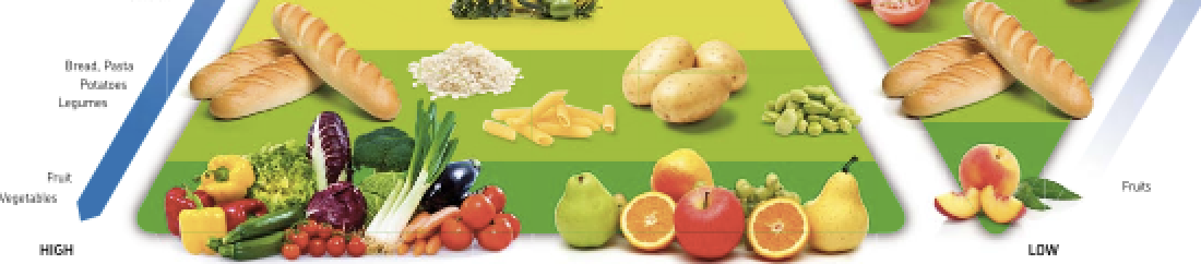 food environmental pyramid