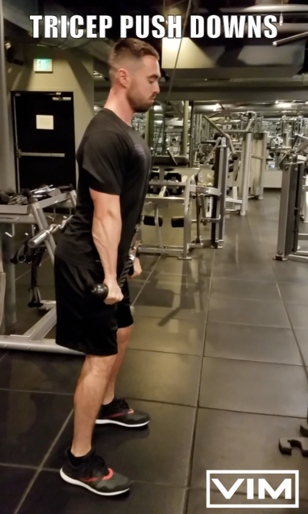 tricep push downs